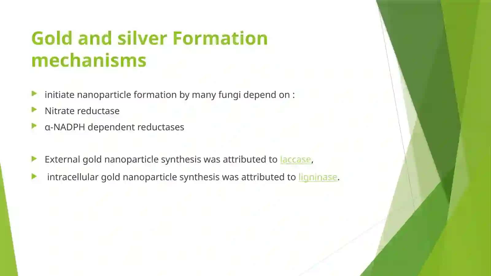 Synthesis of nanoparticles by fungi 4
