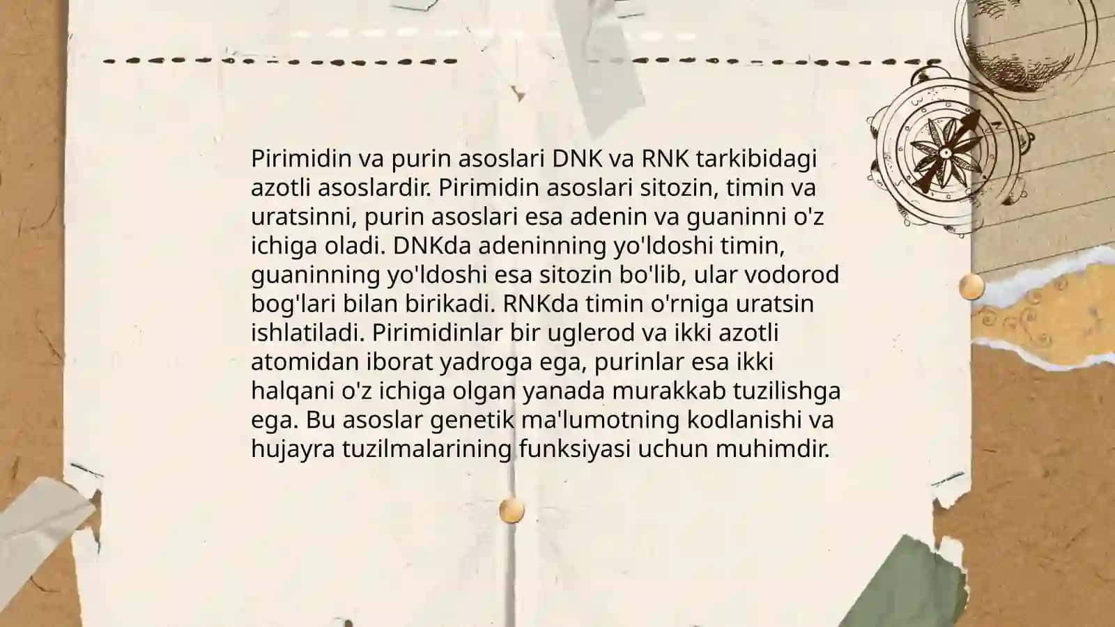 Nuklioetid asosini tuzulishi 4