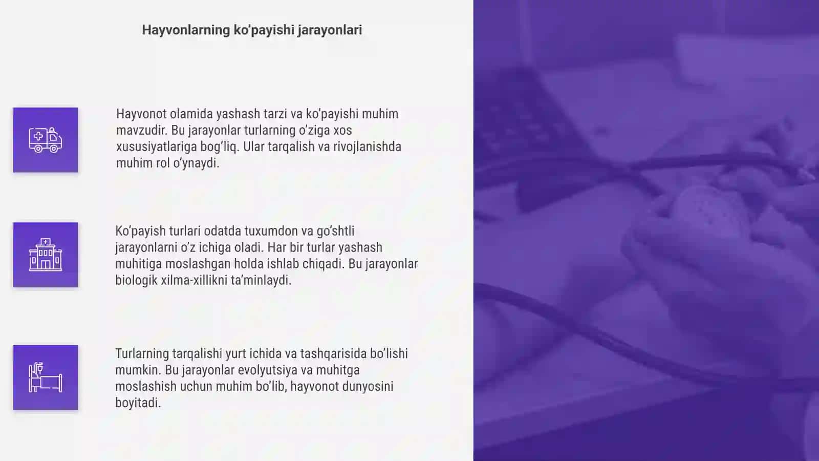 Hayvonot olami 4