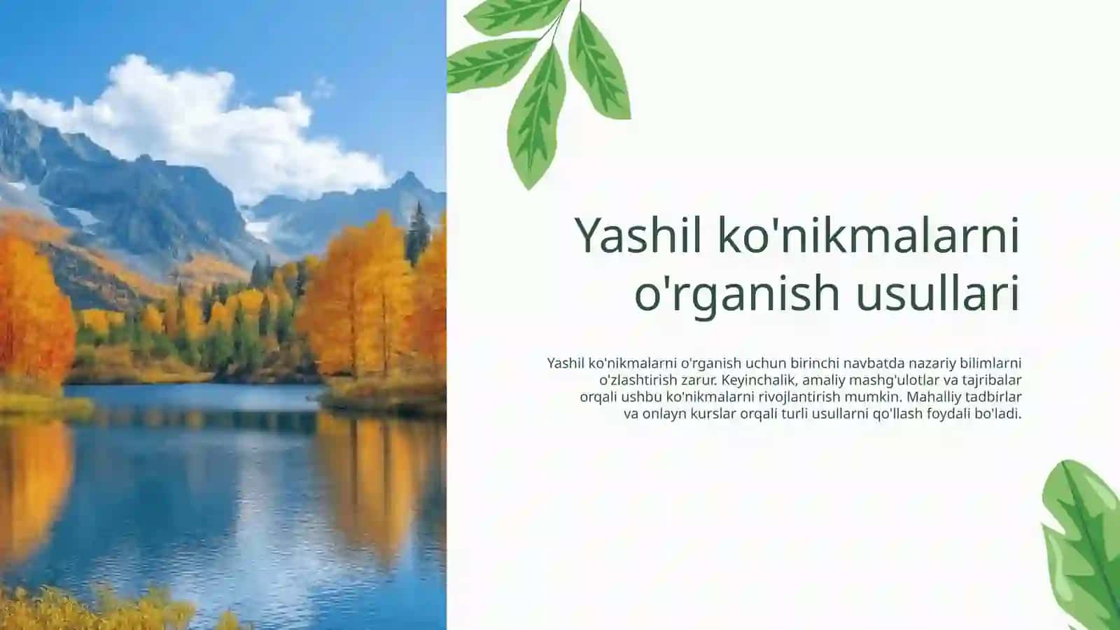 Yashil ko'nikmalar va uning foydali jihatlari 4