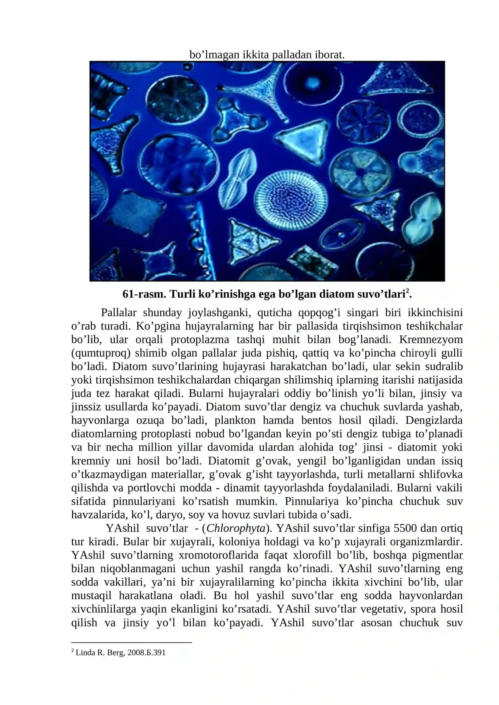 SUVO’TLARI (Algae), ULARNING KLASSIFIKATSIYASI VA QISHLOQ XO’JALIGIDAGI AHAMIYATI 4