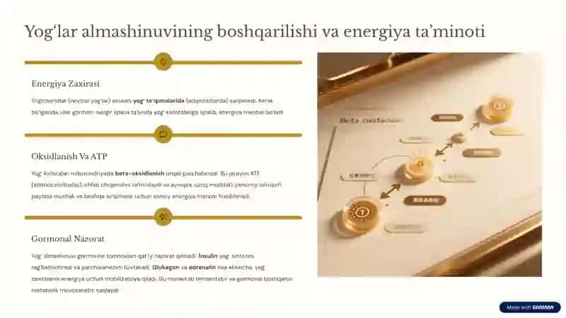 Murakkab lipidlar almashinuvi va yog‘lar almashinuvini boshqarish 4