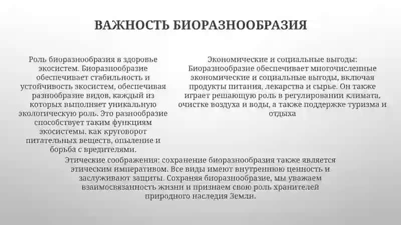 Земля- Наша, Нам Её Беречь 4