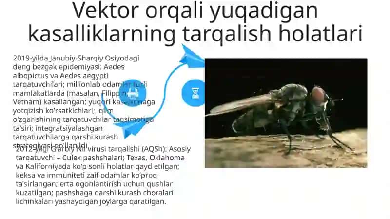 Sinantrop ko‘rinishdagi xashoratlar, ularning epidemiologik ahamiyati 4