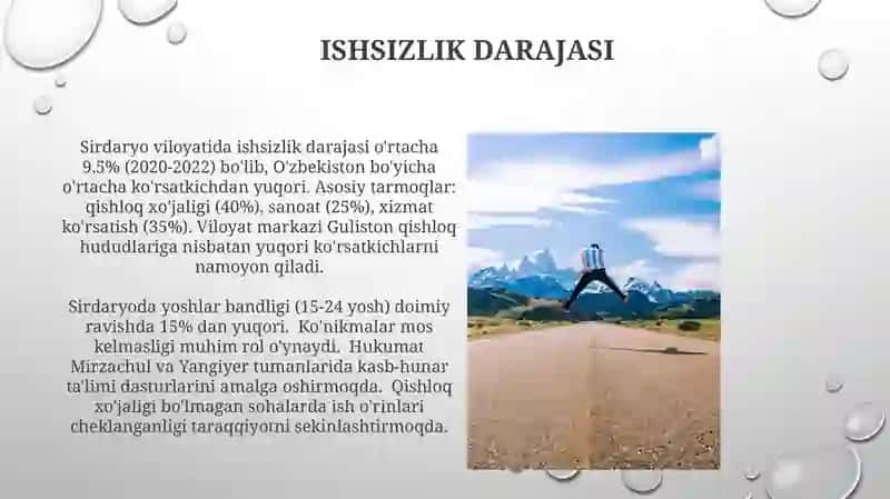 Sirdaryo viloyati iqtisodiy ko‘rsatkichlari 4