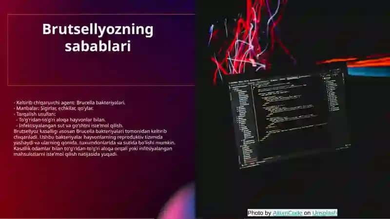 Hayvonlarda brutsellyoz kasalligi va klinik belgilari 4