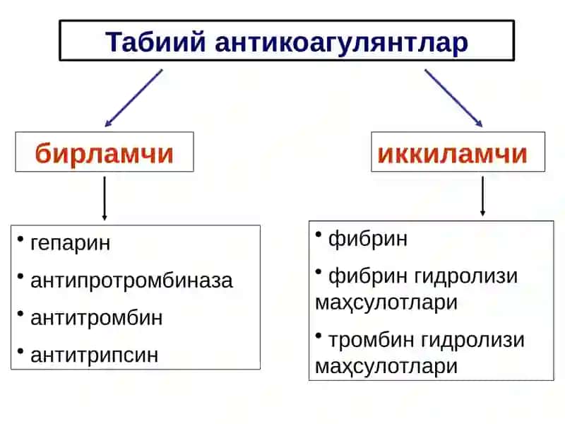 Qon ivishiga qarshi tizim 4