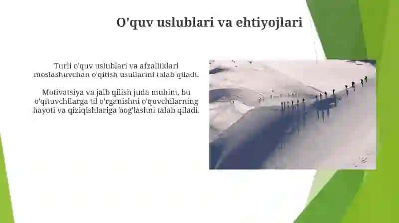 Lingua didactic problems of teaching foreign languages in the system of continuous education 4