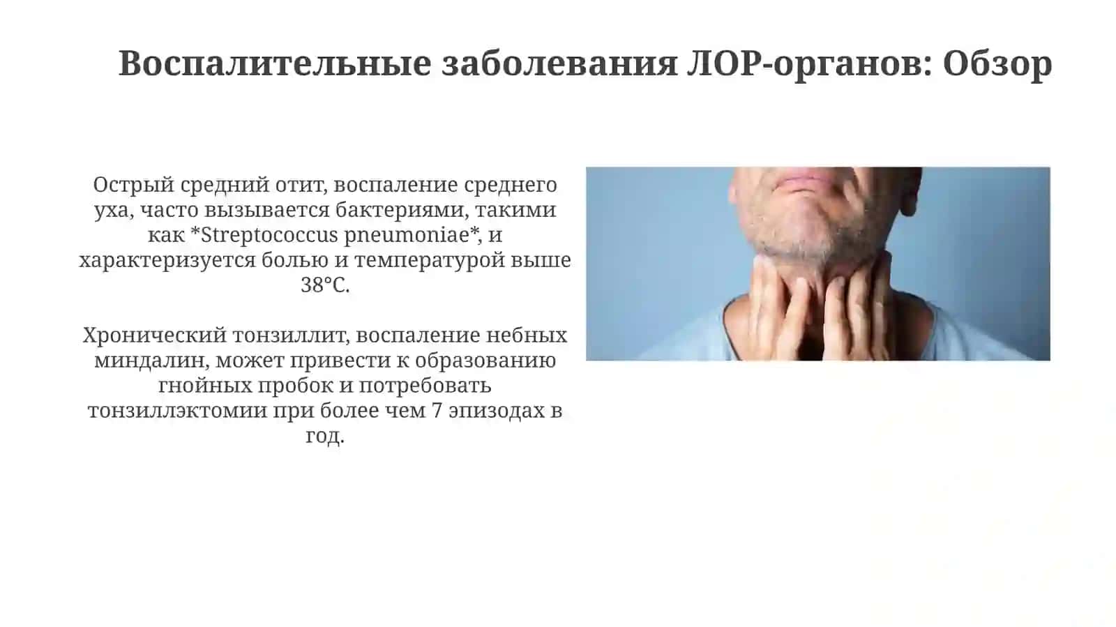 Воспалительные заболевания ЛОР-органов и слюнных желез: макро- и микроскопическая характеристика 4