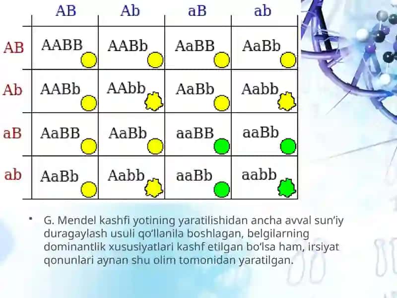 Irsiyatning umumiy qonuniyatları. G.Mendelning irsiyat qonunlari va ularning mohiyati 4