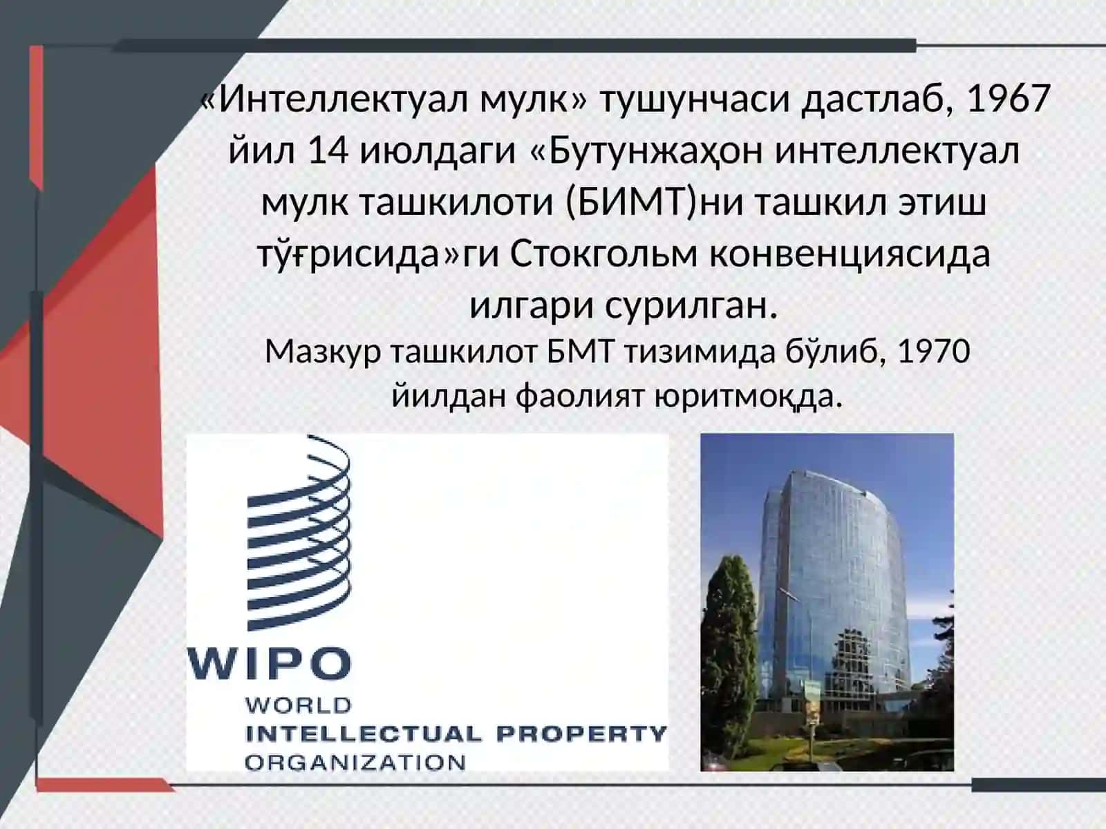 Интеллектуал мулквача уни ҳимоя қилиш йўллари 4