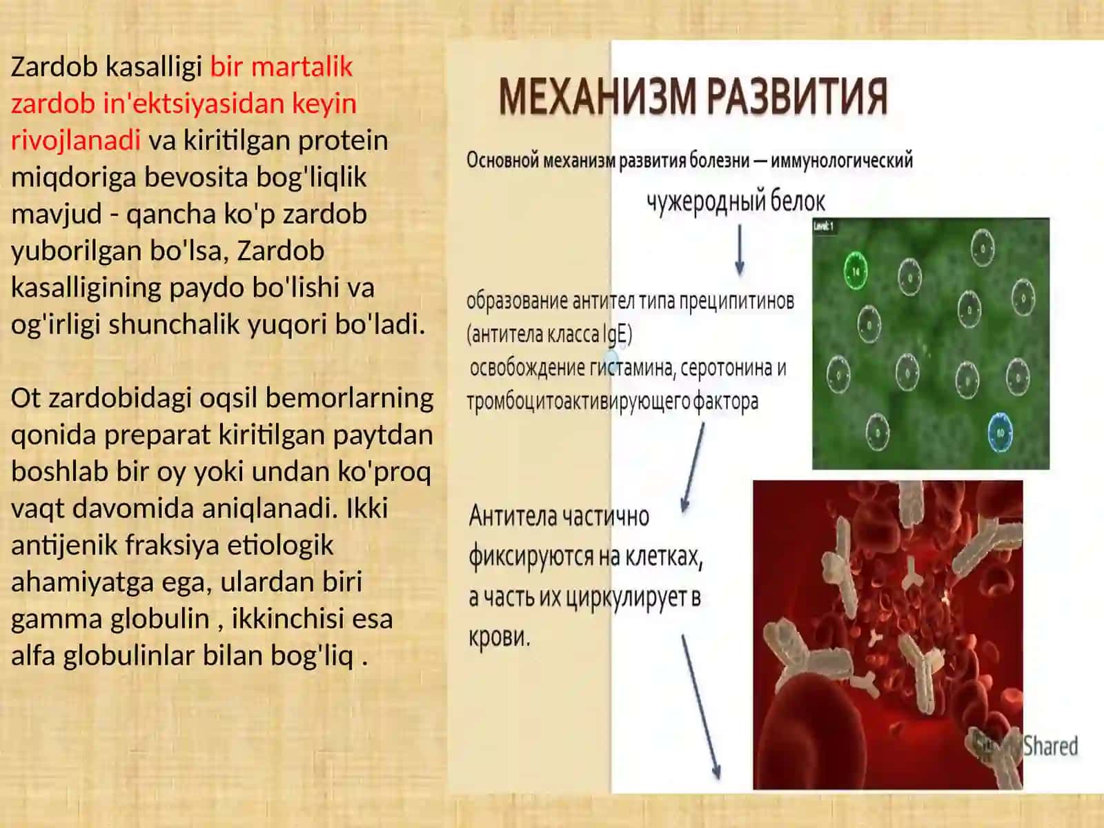 Zardobkasalligi (ZK) 4