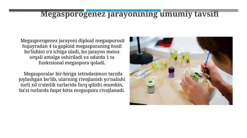 Qishloq xo’jalik ekinlarida makrosporogenez va makrogametogenez jaroyonlarini o’rganish 4