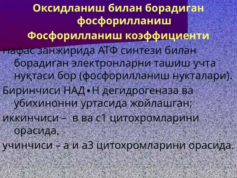 ЭНЕРГИЯ АЛМАШИНУВИ 4