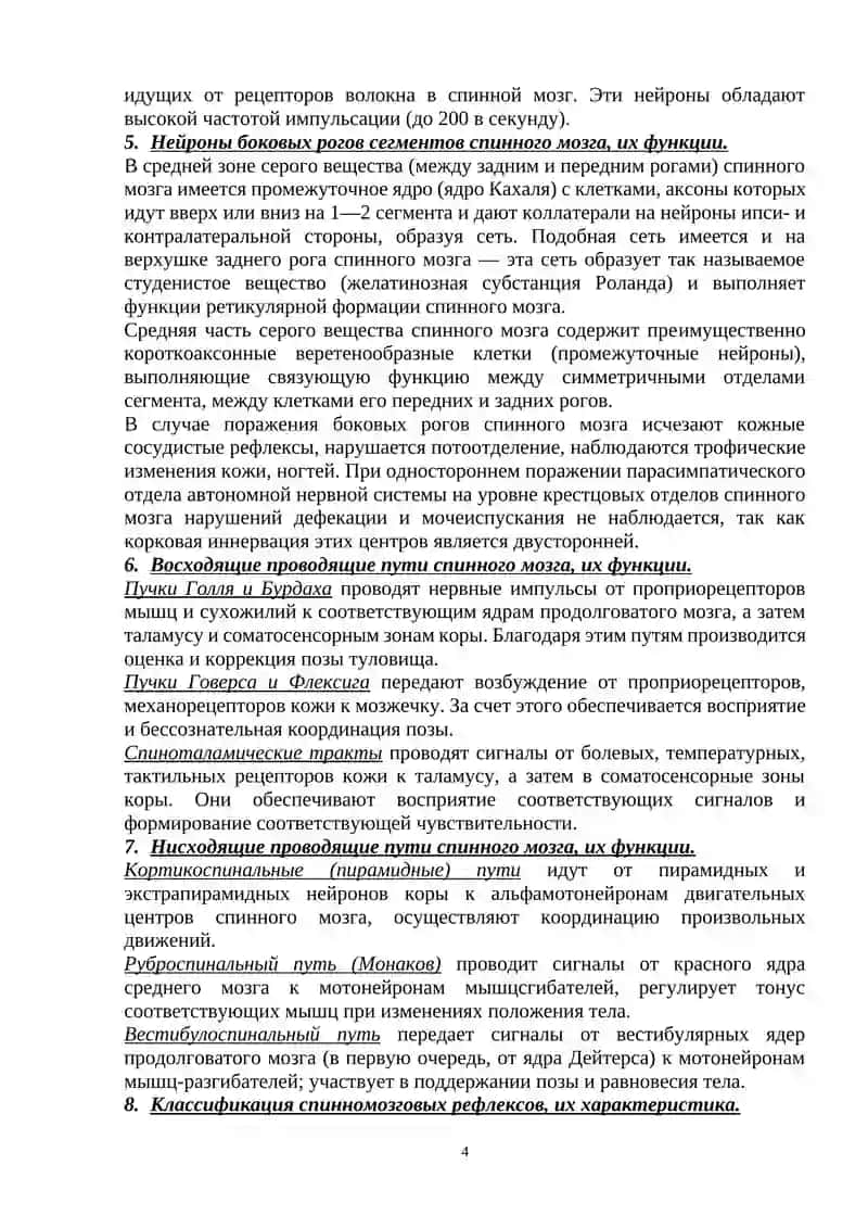 Функции спинного мозга, ствола головного мозга и мозжечка 4