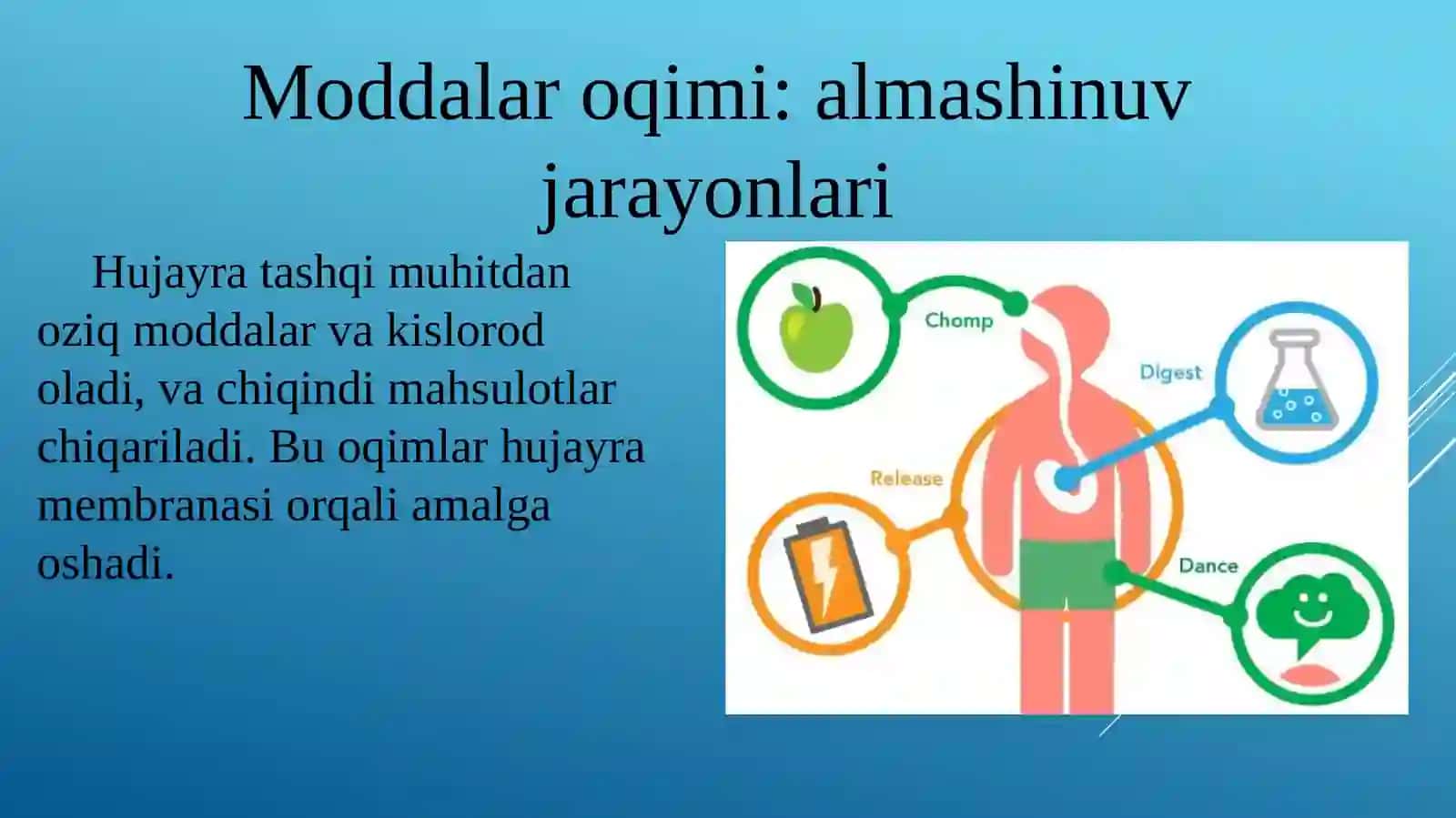 Xujayrada moddalar, energiya va ma’lumotlar oqimi 4