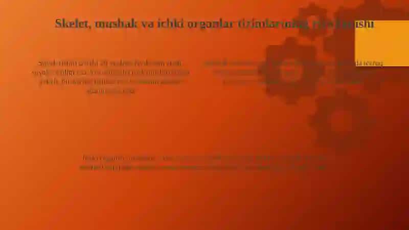 Yosh davrlarining morfologik va fiziologik xususiyatlari 4