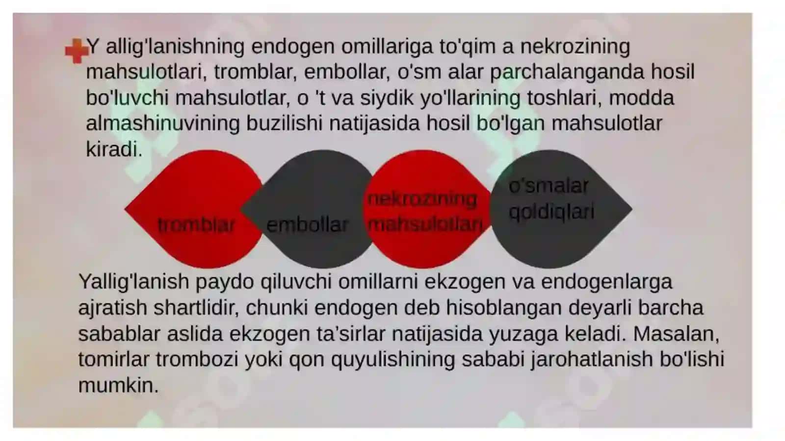 Ko'p tarmoqli tibbiyot texnikumi 4