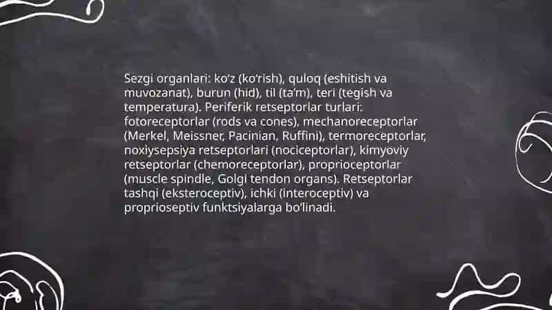 Sezgi haqida umumiy tushuncha va uning nerv-fiziologik asoslari 4