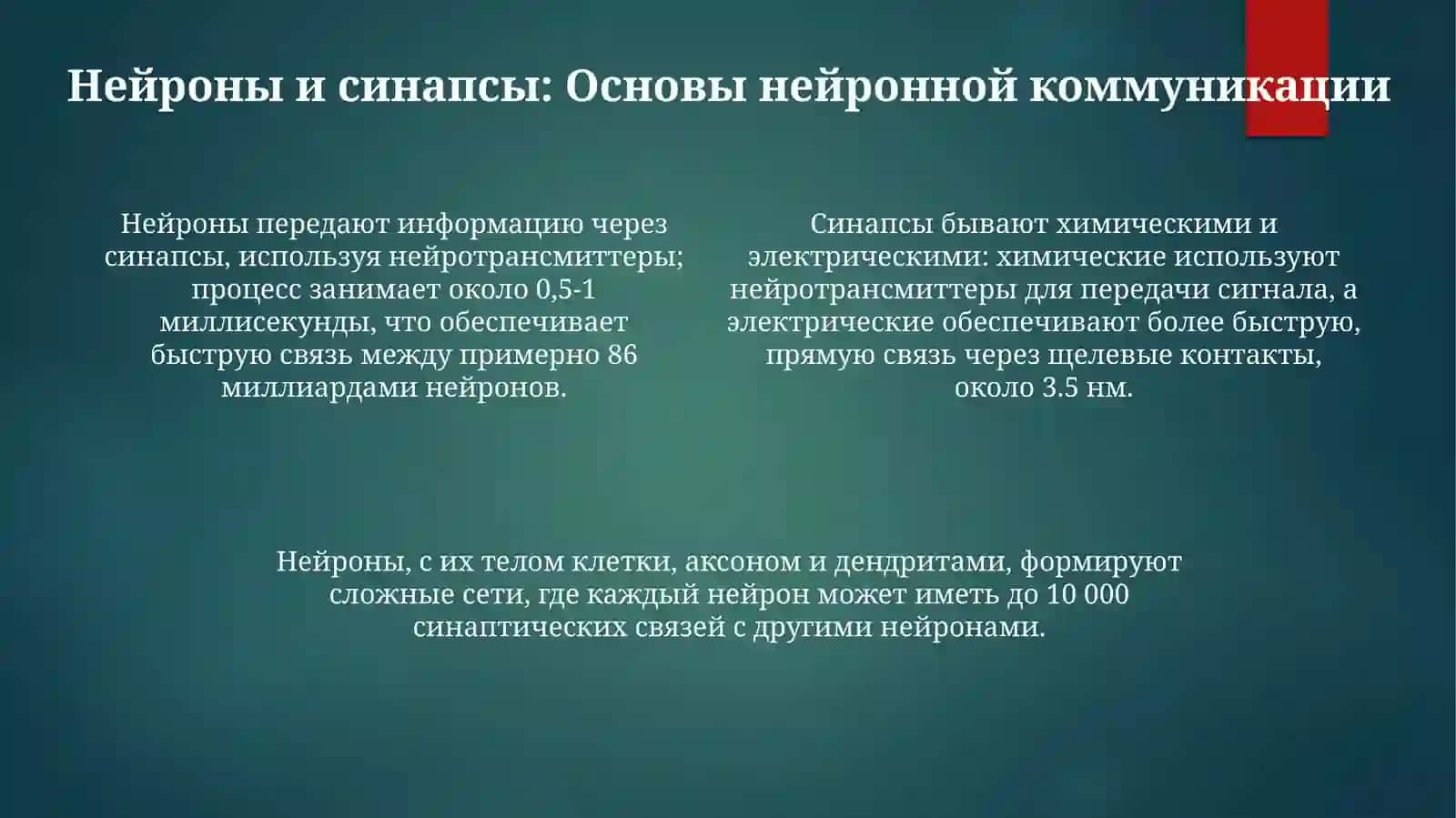 Основные Функции Мозга 4
