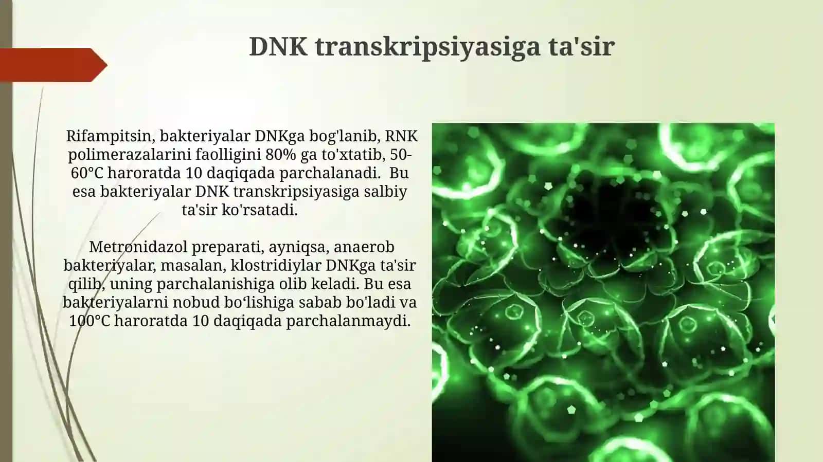 Antibakteriyalarning hujayra nuklein kislotalarigataʼsirmexanizmlari 4