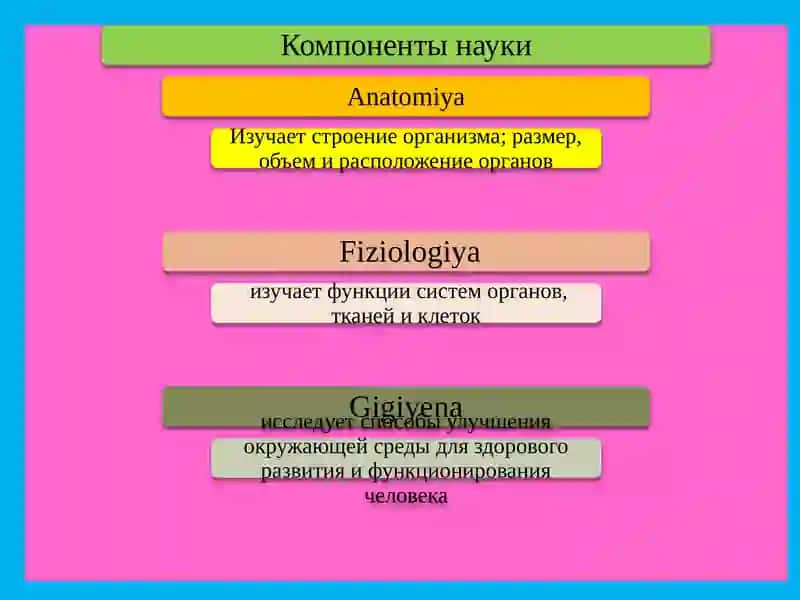 Общие законы роста и развития, организм и окружающая среда 4