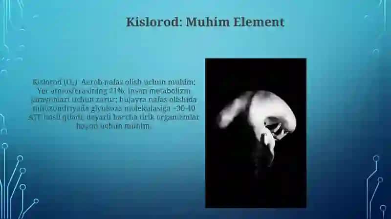 Ayrim biogen elementlarning odam organizmidagi biologik faolligi 4
