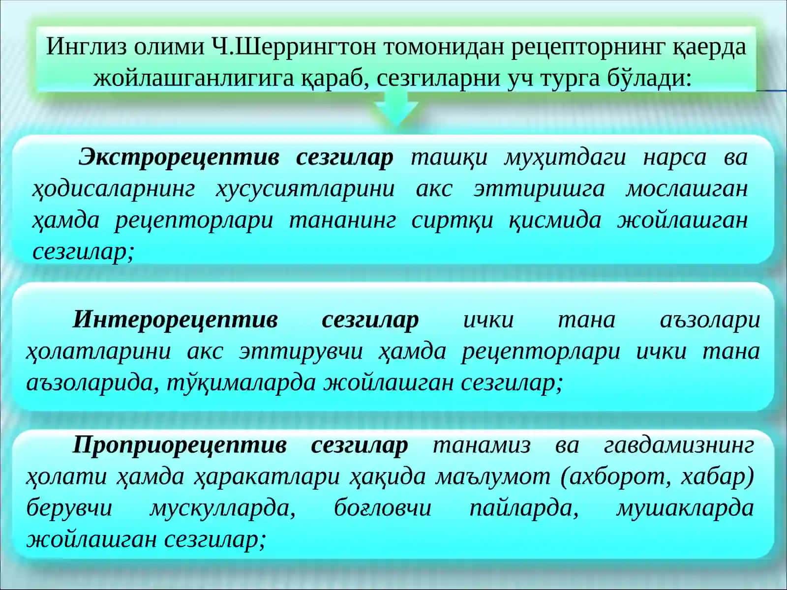 Сезги 4