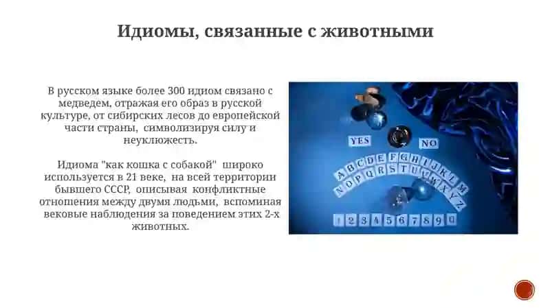 Лексическое богатство русского языка. Фразеологизмы, пословицы и погоровки 4