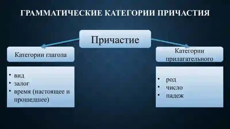 Причастие 4