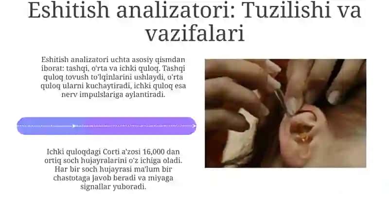 Eshitish analizatori patalogiyalari va konduktiv patalogiyalar 4