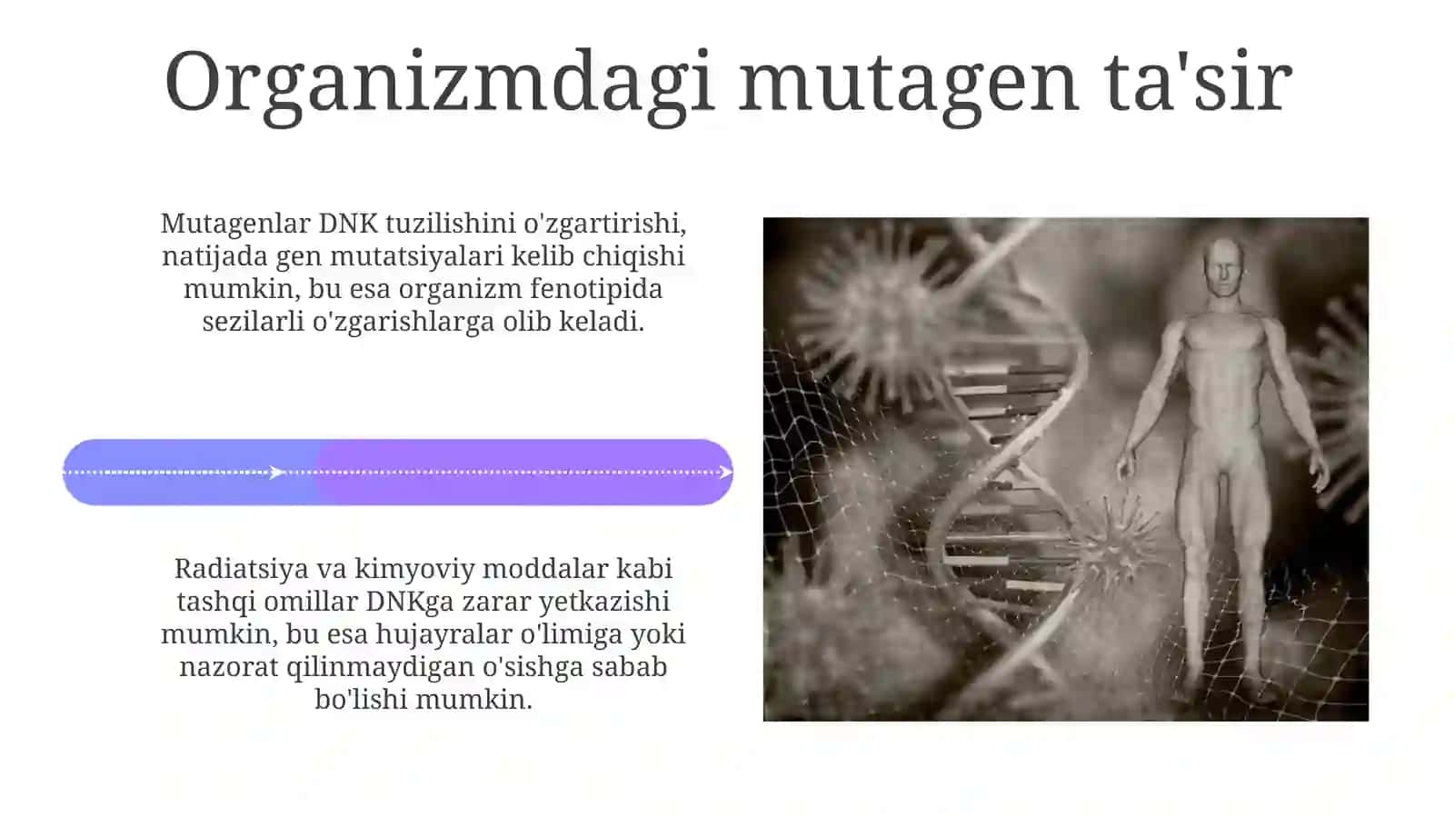 Tomas Morganning xromosoma nazariyasi 4