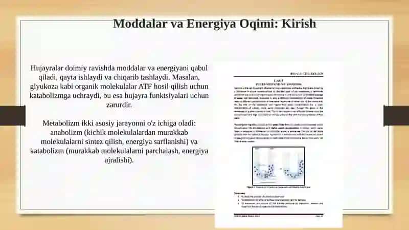 Hujayradamoddalarvaenergiyaoqimi,informatsiya 4