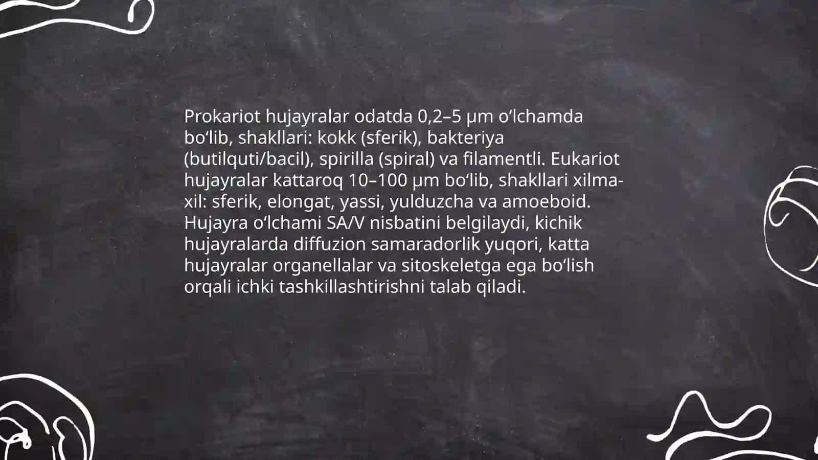 Prokariot va eukariot hujayra tuzilishi 4