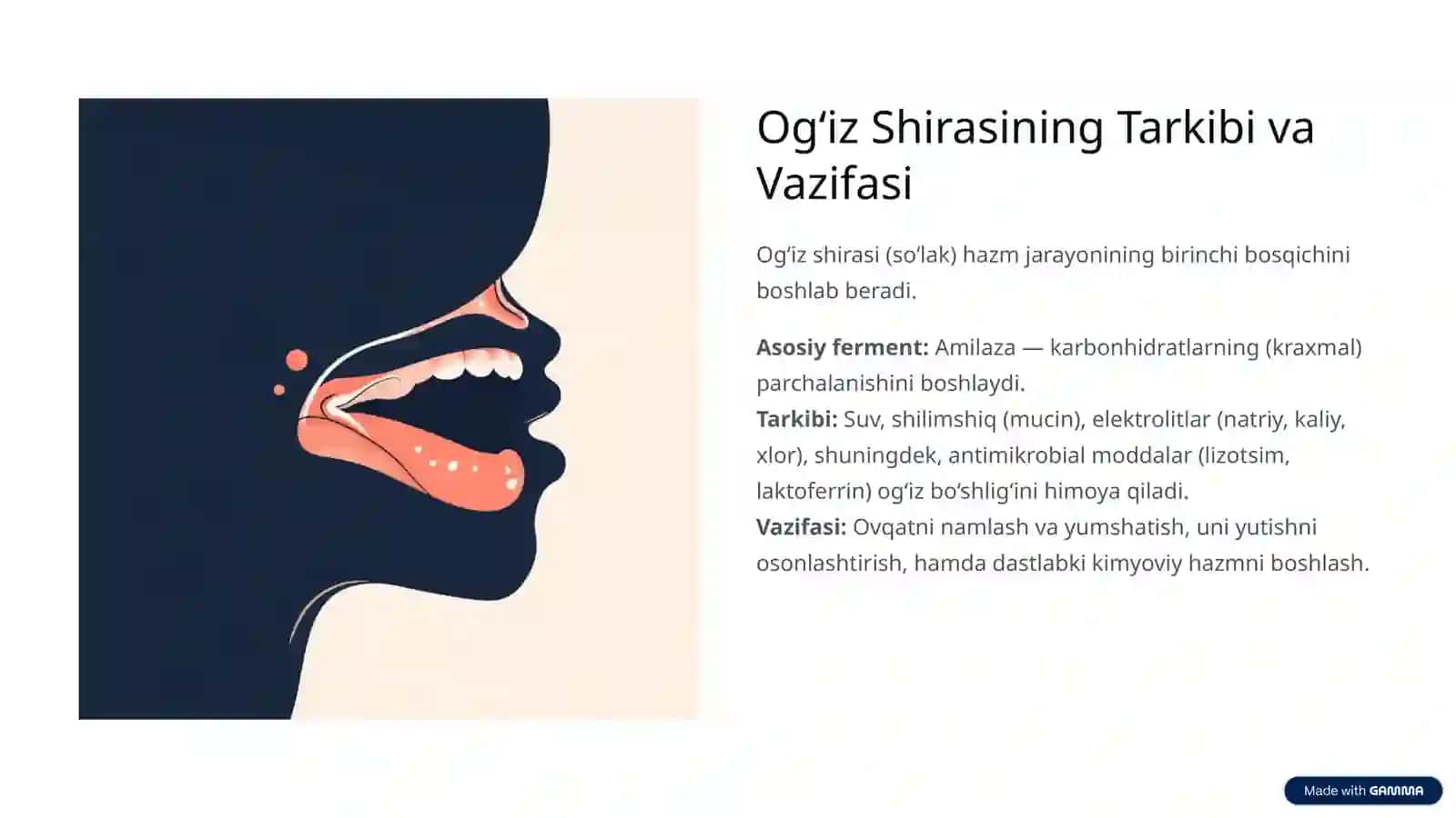 Hazm Kanalidagi Shiralarning Tarkibini Aniqlash 4