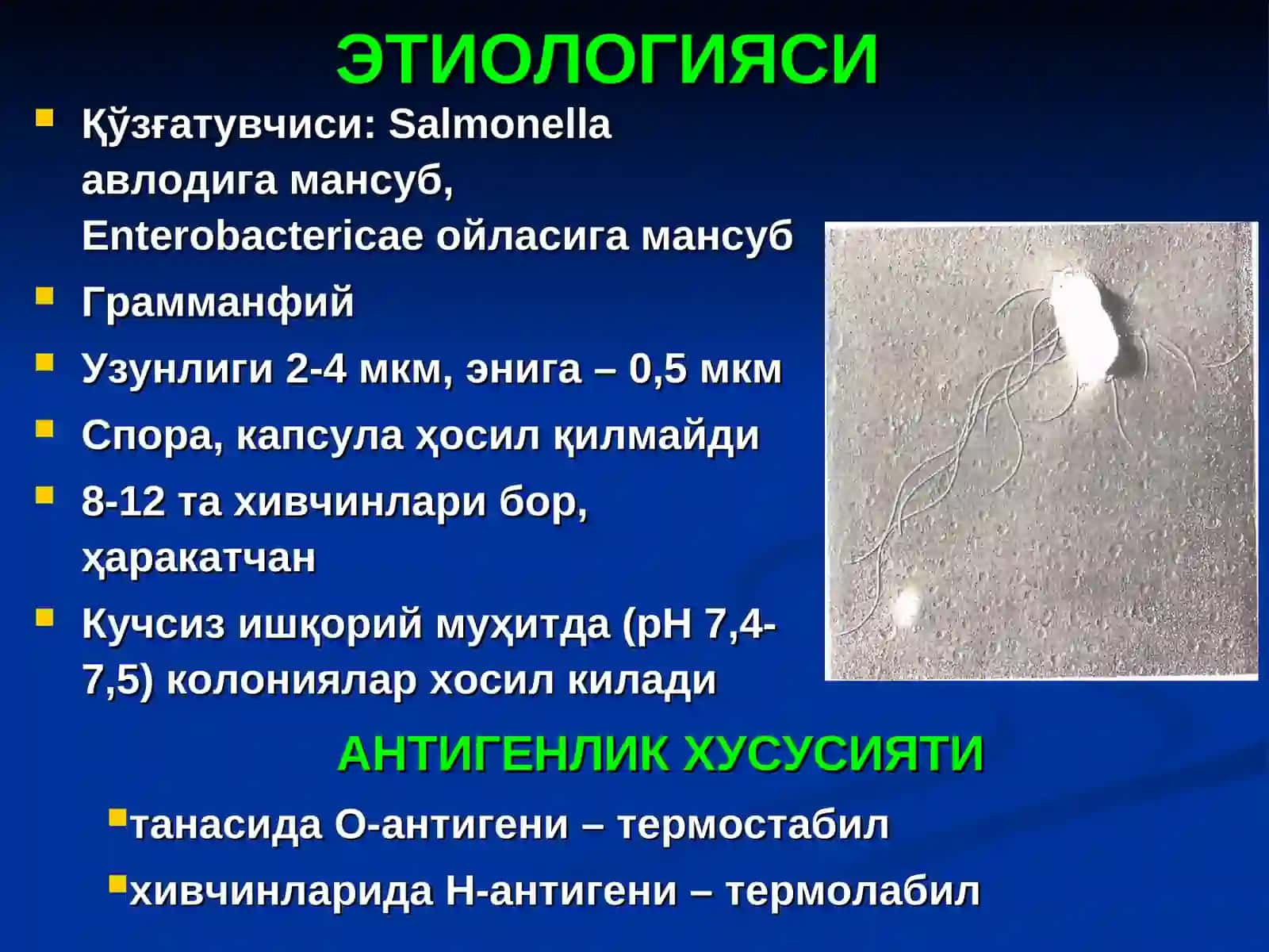 САЛЬМОНЕЛЛЁЗЛАР 4