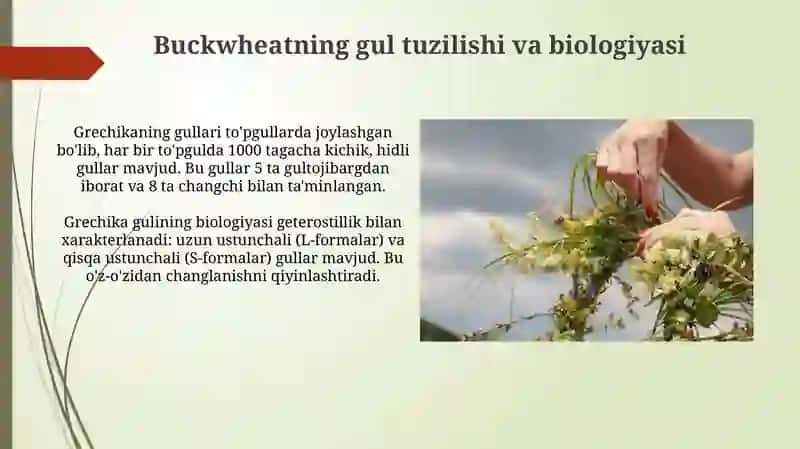 Gullash va Changlanish Usullari 4