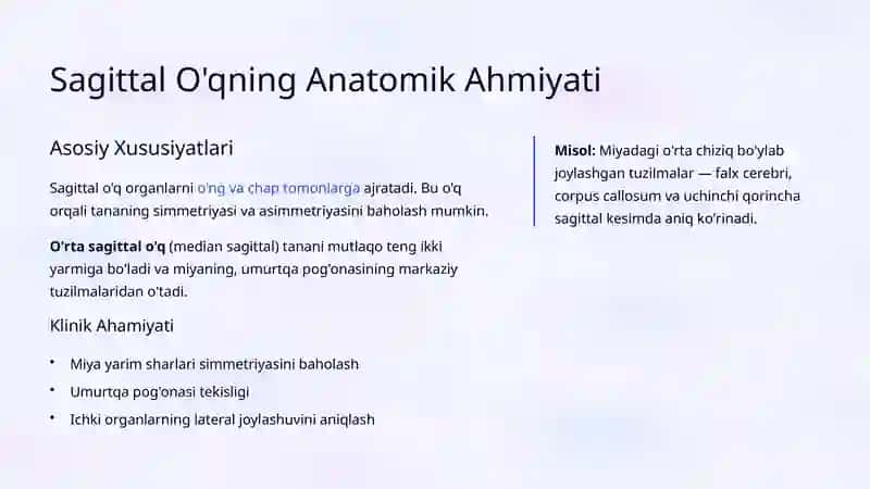 Tana O'qlarining Anatomik Tavsifi 4
