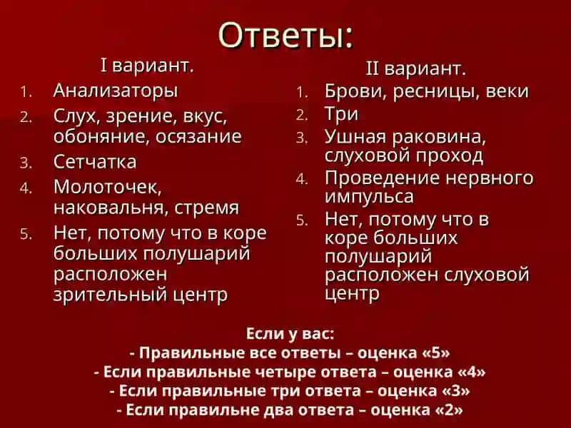 Гигиена и значение слухового и зрительного органов 4