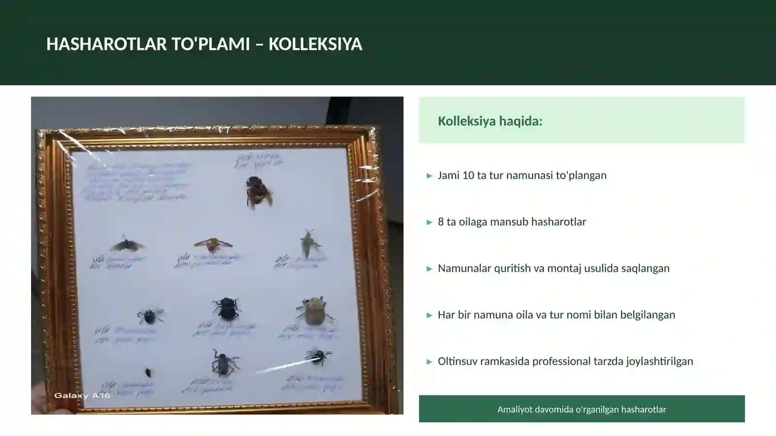 AMALIYOTNI YAKUNLASH 4