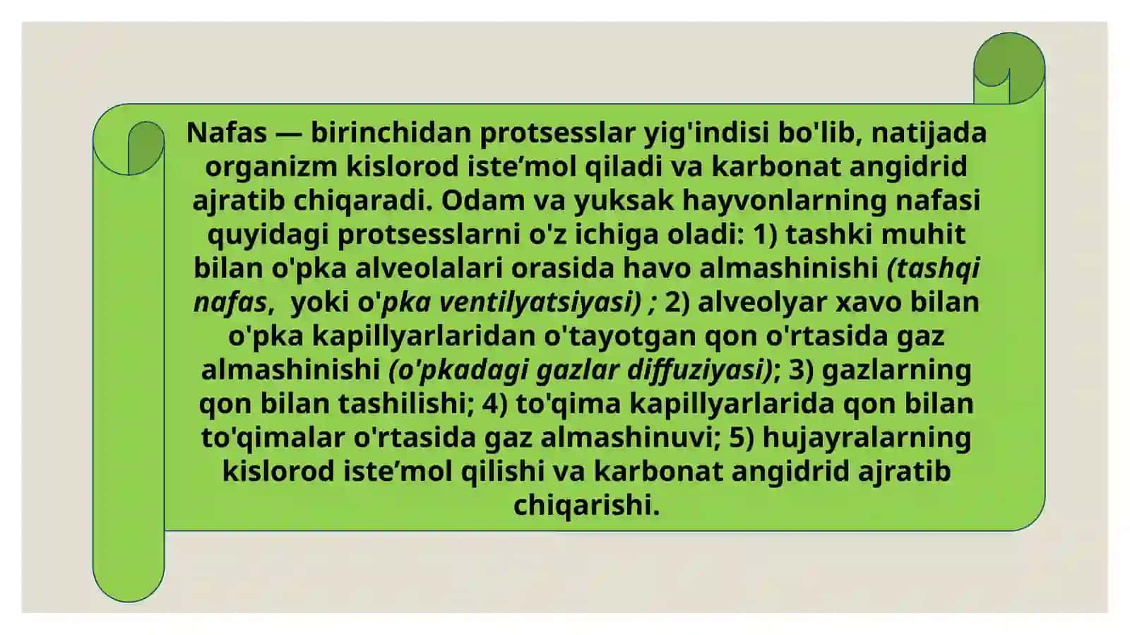 Nafas olish fiziologiyasi 4
