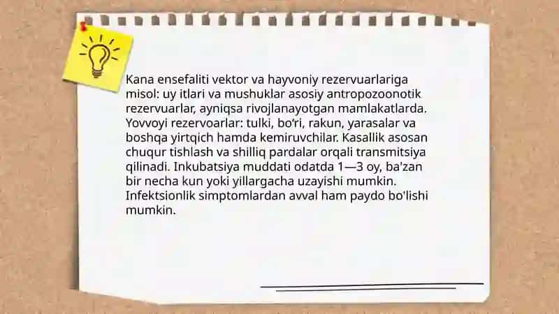 Kana ensefaliti 4