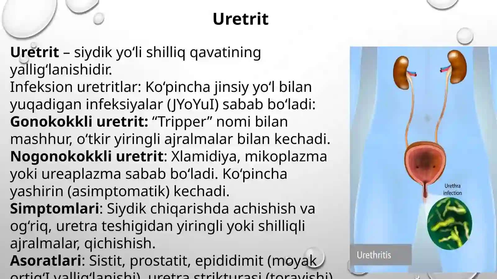 Erkaklarda olat va uretra kasaliklari 4