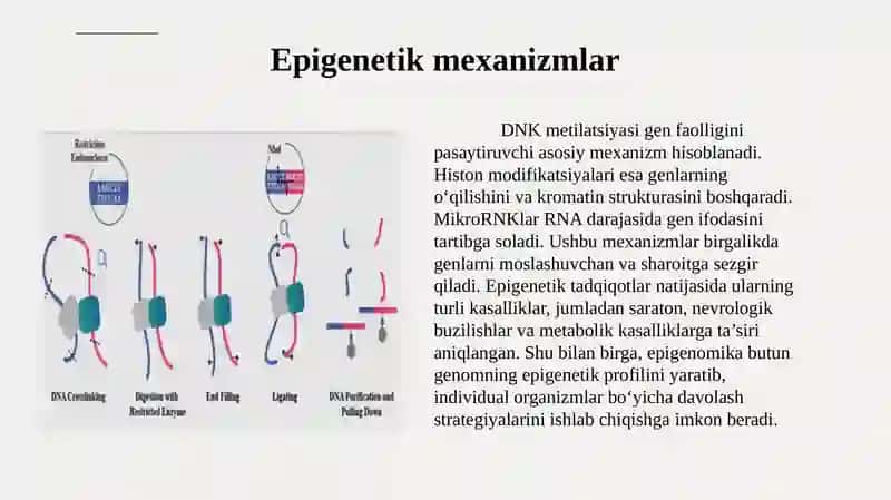 Epigenetika va Epigenomika 4