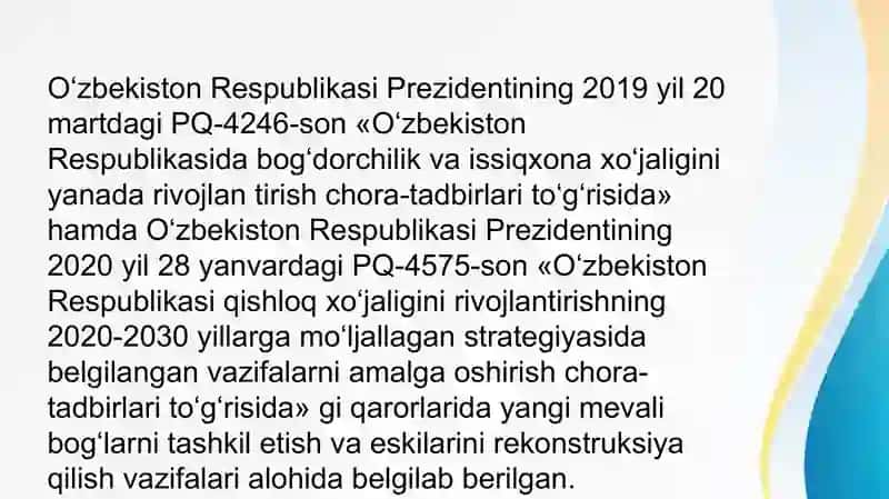 Olxo’ri ko’chatlarini yetishtirish tehnologiyasi.Bog' barpo etish 4