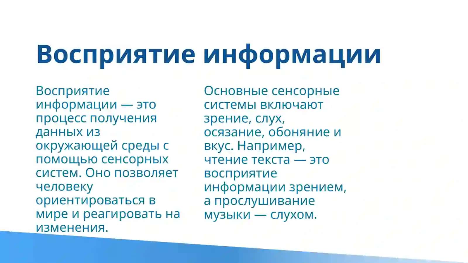 Система переработки информации человеком 4