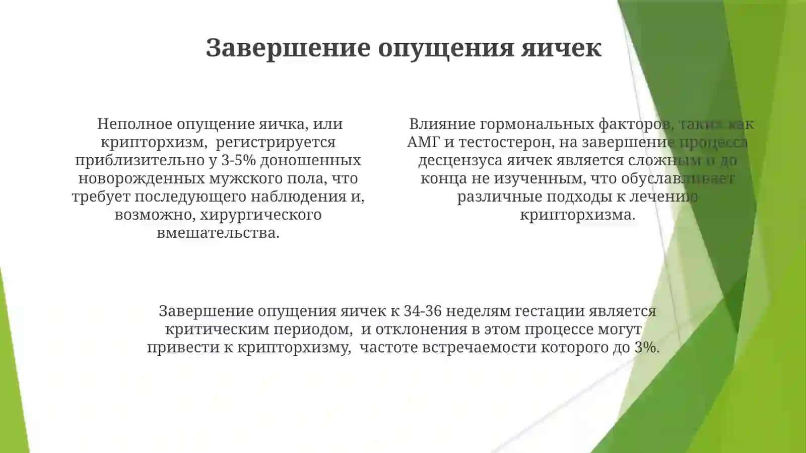 Процесс опускания яичек в мошонку и пороки развития половых органов 4