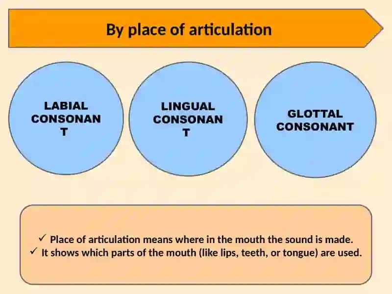 Slide consonant system of English 4