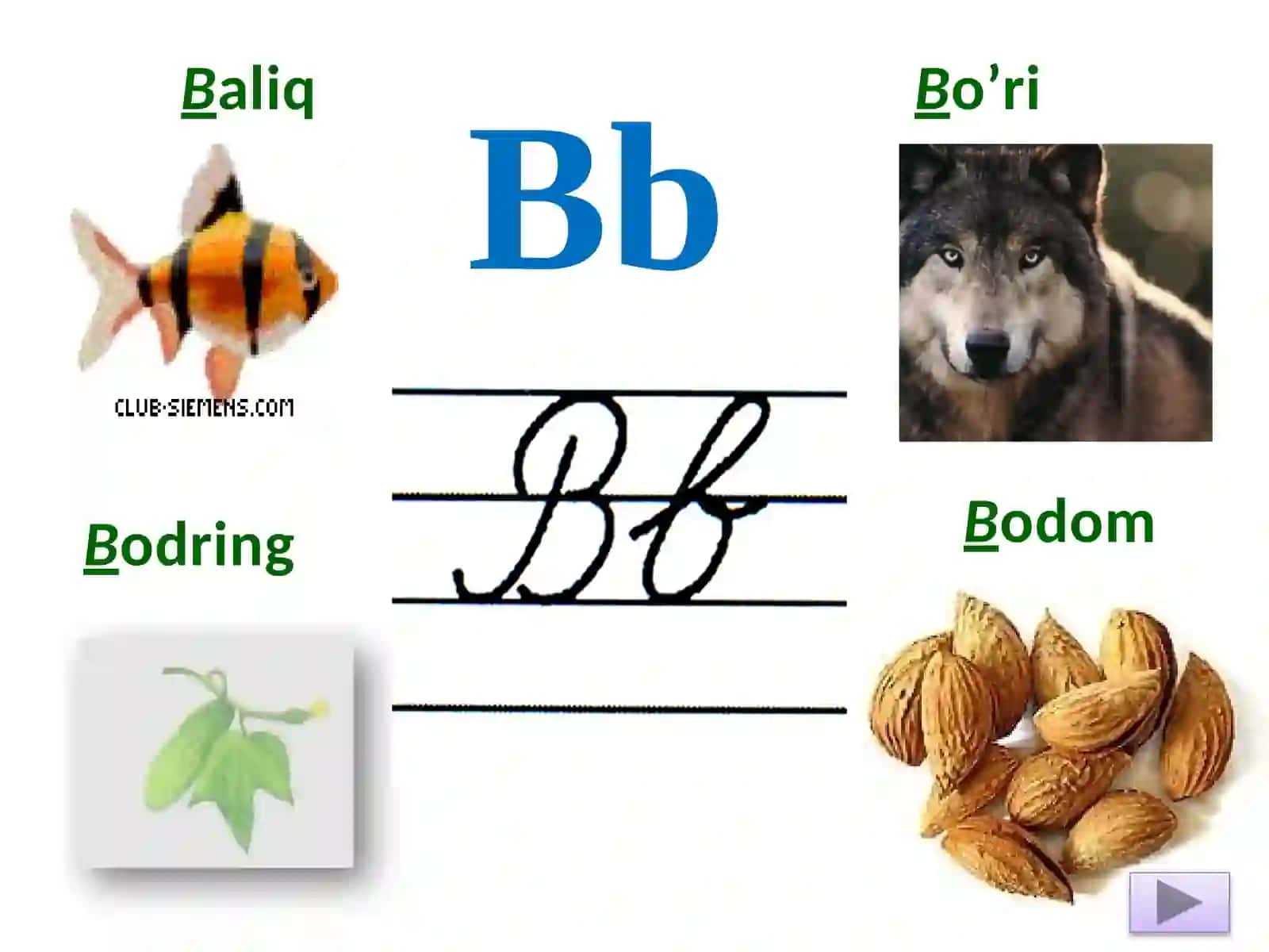 O’zbektili Alifbosi 4