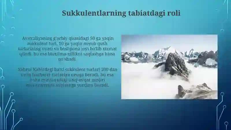 Sukkulentlarning tabiatdagi va inson hayotidagi ahamiyati 4